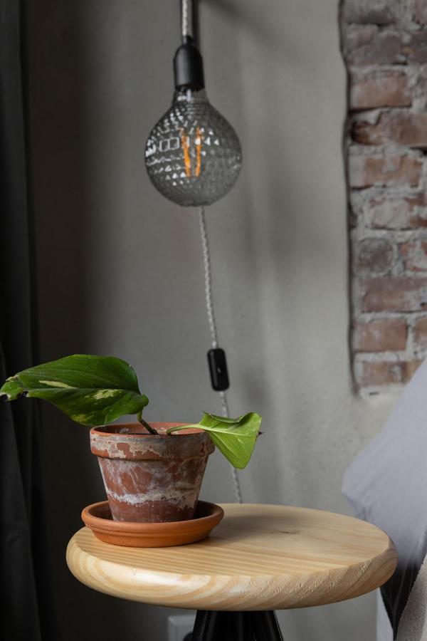 De Oude Slaght- Luxe Met Buitensauna Bed & Breakfast *